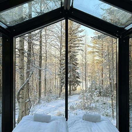 Sky Lodging ~ Sleeping Under The Stars ロヴァニエミ エクステリア 写真
